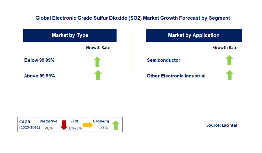 Electronic Grade Sulfur Dioxide (So2) Market by Segment